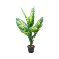 informa-tanaman-artifisial-dieffenbachia-90-cm