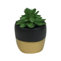 arthom-13-cm-tanaman-artifisial-succulent-rameria---hitam