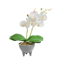 arthome-32-cm-bunga-artifisial-orchid-caluna---putih