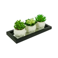 informa-set-tempat-tanaman-27x10x12-cm---hitam/putih