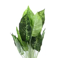 tanaman-artifisial-dieffenbachia