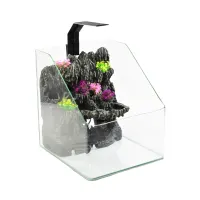 fishland-25-ltr-aquarium-mini-paludarium