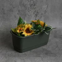 clover-26-cm-pot-tanaman-persegi-panjang---hijau-tua