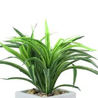 tanaman-artifisial-dracaena-dengan-pot-25-cm