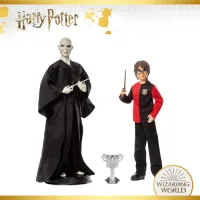 harry-potter-set-action-figure-doll-voldemort-2pk-gnr38