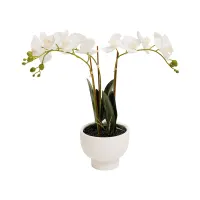 informa-bunga-artifisial-orchid-17x17x66-cm---putih