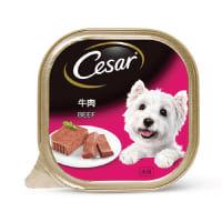 cesar-100-gr-makanan-anjing-basah-tray-beef