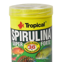 tropical-250-ml-makanan-ikan-spirulina-forte-tablet