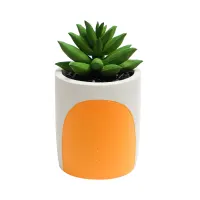 informa-tanaman-artifisial-15-cm-sukulen-dengan-pot---orange