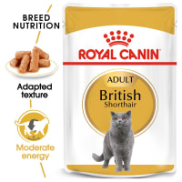 royal-canin-85-gr-makanan-kucing-adult-basah-british-shorthair-adult