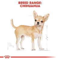 royal-canin-1.5-kg-makanan-anjing-adult-chihuahua