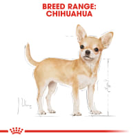 royal-canin-3-kg-makanan-anjing-kering-adult-chihuahua