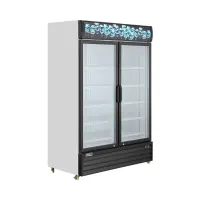 modena-1200-ltr-lemari-pendingin-2-pintu-sc-2201l---hitam