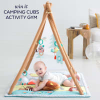 skip-hop-set-camping-cubs-activity-gym-307900