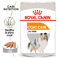 royal-canin-85-gr-makanan-anjing-adult-coat-care