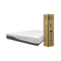 informa-sleep-100x200x20-cm-aloe-vera-kasur-busa-premium