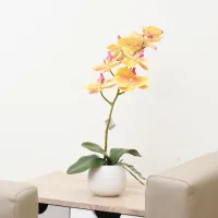 selma-43-cm-bunga-artifisial-orchid-dengan-vas---kuning/putih