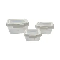 appetite-set-3-pcs-ario-wadah-makanan-square