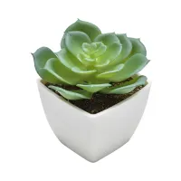 ataru-tanaman-artifisial-echeveria-dengan-pot---putih