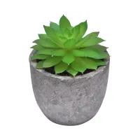 ataru-7-cm-tanaman-artifisial-echeveria-dengan-pot-round-cmt