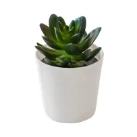 ataru-ukuran-s-tanaman-artifisial-pot-sedum-round---putih
