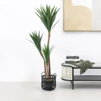 informa-155-cm-tanaman-artifisial-yucca-dengan-pot-a6b