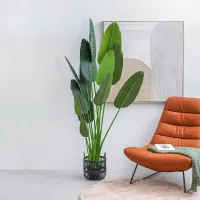 informa-tanaman-artifisial-strelitzia-gs43-30x30x180-cm