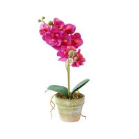 arthome-tanaman-artifisial-phalaenopsis-in-paper-mache