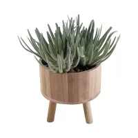 arthome-tanaman-artifisial-succulents-in-shaw-tripot