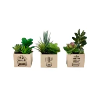 arthome-tanaman-artifisial-succulent-dengan-light-set-d-in-shaw-pot