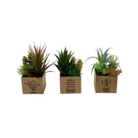 arthome-tanaman-artifisial-succulent-dengan-light-set-a-in-shaw-pot