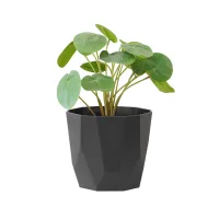 elho-b-for-rock-pot-tanaman-14-cm---hitam