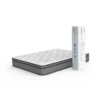 informa-sleep-180x200-cm-cuscomax-kasur-pocket-spring-bed-in-box