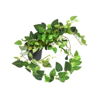 informa-tanaman-artifisial-leaves-in-pot-2f-25x45x20-cm