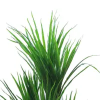 informa-tanaman-artifisial-120-cm-dracaena-marginata