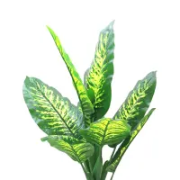 informa-tanaman-artifisial-dieffenbachia-90-cm