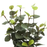 informa-tanaman-artifisial-eucalytus-dengan-pot-g2-34-cm---hijau-tua