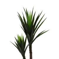 informa-tanaman-artifisial-yucca-dengan-pot-80x60x120-cm