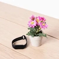 arthome-18-cm-bunga-artifisial-daisy-dengan-pot