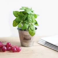 arthome-13-cm-tanaman-artifisial-basil-dengan-pot-kaleng