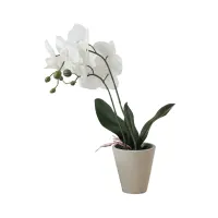 informa-bunga-artifisial-56-cm-anggrek---putih