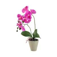 informa-56-cm-bunga-artifisial-orchid-7c---ungu