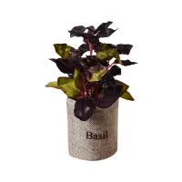 arthome-17-cm-tanaman-artifisial-basil-flax-bag---ungu