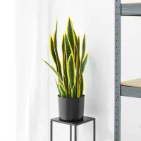 informa-80-cm-tanaman-buatan-strelitzia-gs12---hijau/kuning