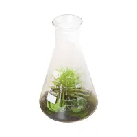 arthome-22-cm-tanaman-artifisial-aloe-beaker