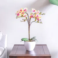 arthome-66-cm-bunga-artifisial-orchid-pandurata-dengan-pot