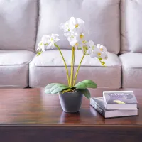 arthome-54-cm-bunga-artifisial-anggrek-phalaenopsis---putih