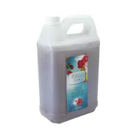 papillon-5-ltr-pembersih-lantai-karbol-sereh-flower