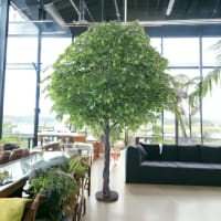 arthome-260-cm-tanaman-artifisial-ficus---hijau