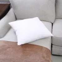 informa-55x55-cm-isian-bantal-sofa---putih